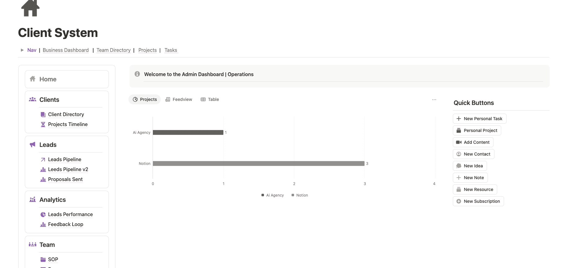 The Client System home with clients, leads, analytics and team